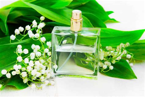 perfume that smells like lilies|best water lily perfume.